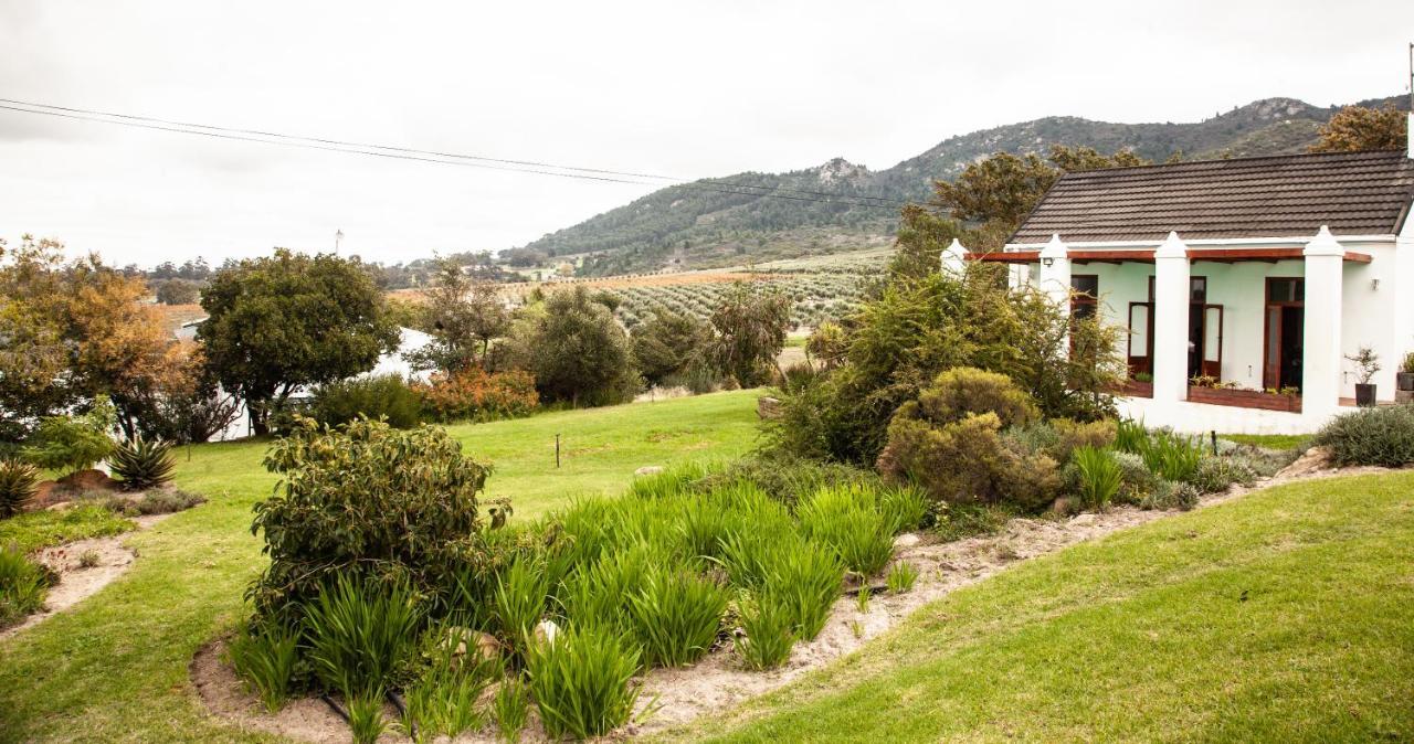 Bed and Breakfast Ayama Wine Farm - Manor House Wellington Exteriér fotografie