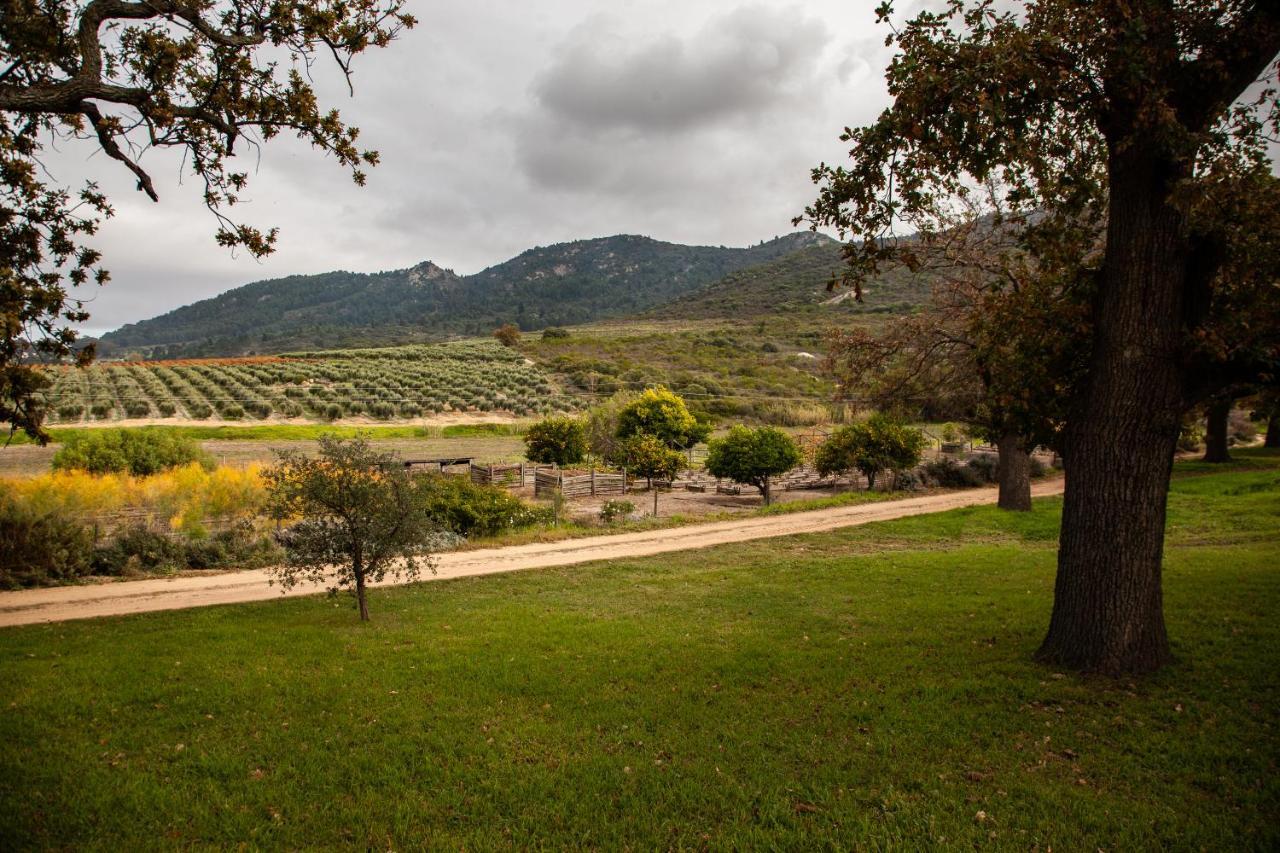 Bed and Breakfast Ayama Wine Farm - Manor House Wellington Exteriér fotografie