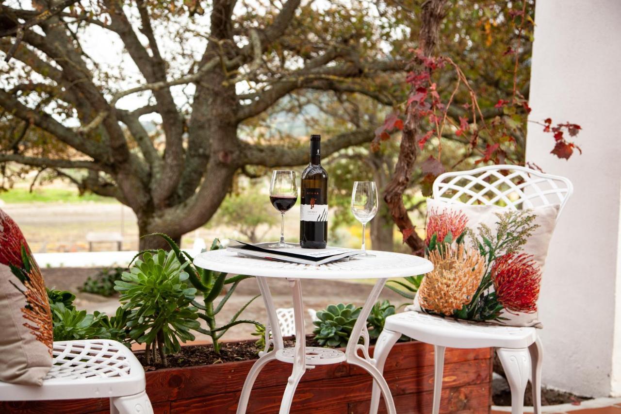 Bed and Breakfast Ayama Wine Farm - Manor House Wellington Exteriér fotografie